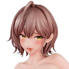 No Box Hot, Anime Nikkan Girl Nikukan Shoujo ...