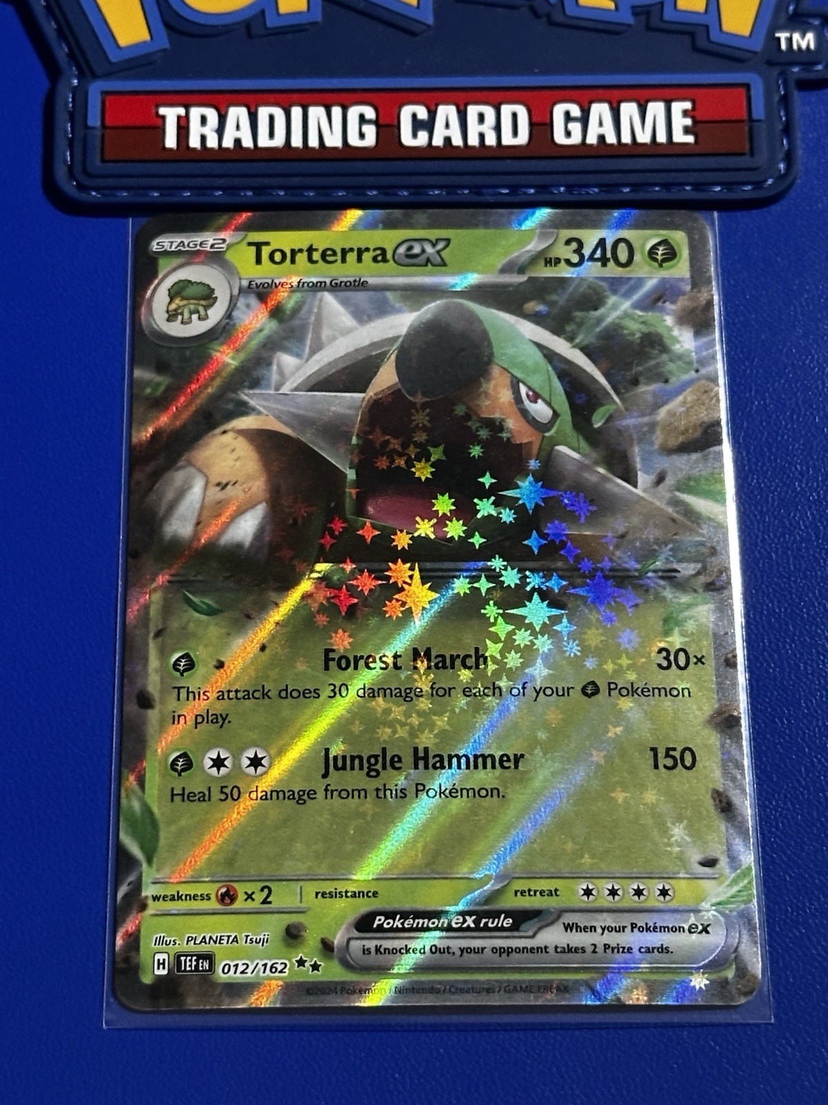 Torterra ex 012/162 Double Rare Holo Pokémon Temporal Forces NM/M