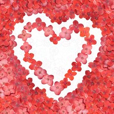 Red Pressed Flowers for Resin  Crafts   100 Organic  100/200/400 Pieces