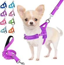 No Pull Dog Harness and Leash Set, Soft Padded Small Dog Harness, Neck & Chest A