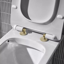 Tavistock DC4020 WC-Sitz Scharnier Abdeckkappe Set Messing gebürstet