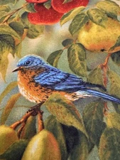 Fruit 🍎 Packed Birds Sanctuary Springs Cotton Fabric BTHY Wild Wings R Millette