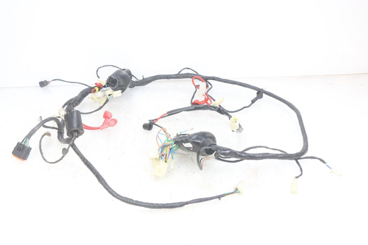 FAISCEAU - JM MOTORS OLDIES RS 4T 50 (2021 - 2024)