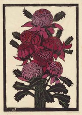 Margaret Preston : Waratahs : Australian Modernist Woodcut Botanical Print 1925