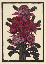 Margaret Preston : Waratahs : Australian Modernist Woodcut Botanical Print 1925
