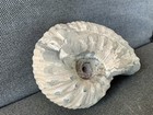Bild 2 von 12