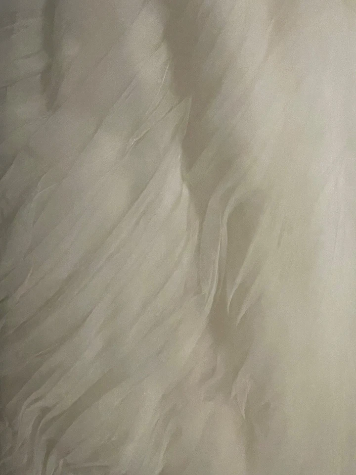 Свадебное платье Justin Alexander размер 6 неизменное, никогда не носилось - Изображение 3 из 4