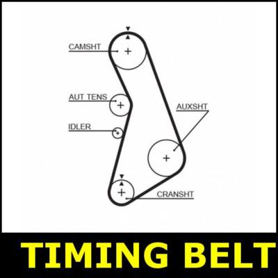 Timing Belt Cam Fits Vw PASSAT 3 3B 1.8 ADR AEB ANB APT APU ARG ATW AUG SX2945