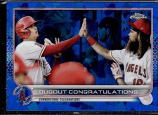 Dugout Congratulations