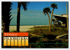 Postcard FL Florida Venice Beach Scene Palm Trees Continental Unposted