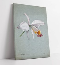 AN ORCHID WATERCOLOUR ILLUSTRATION HOME DECOR CANVAS WALL ART PICTURE PRINT