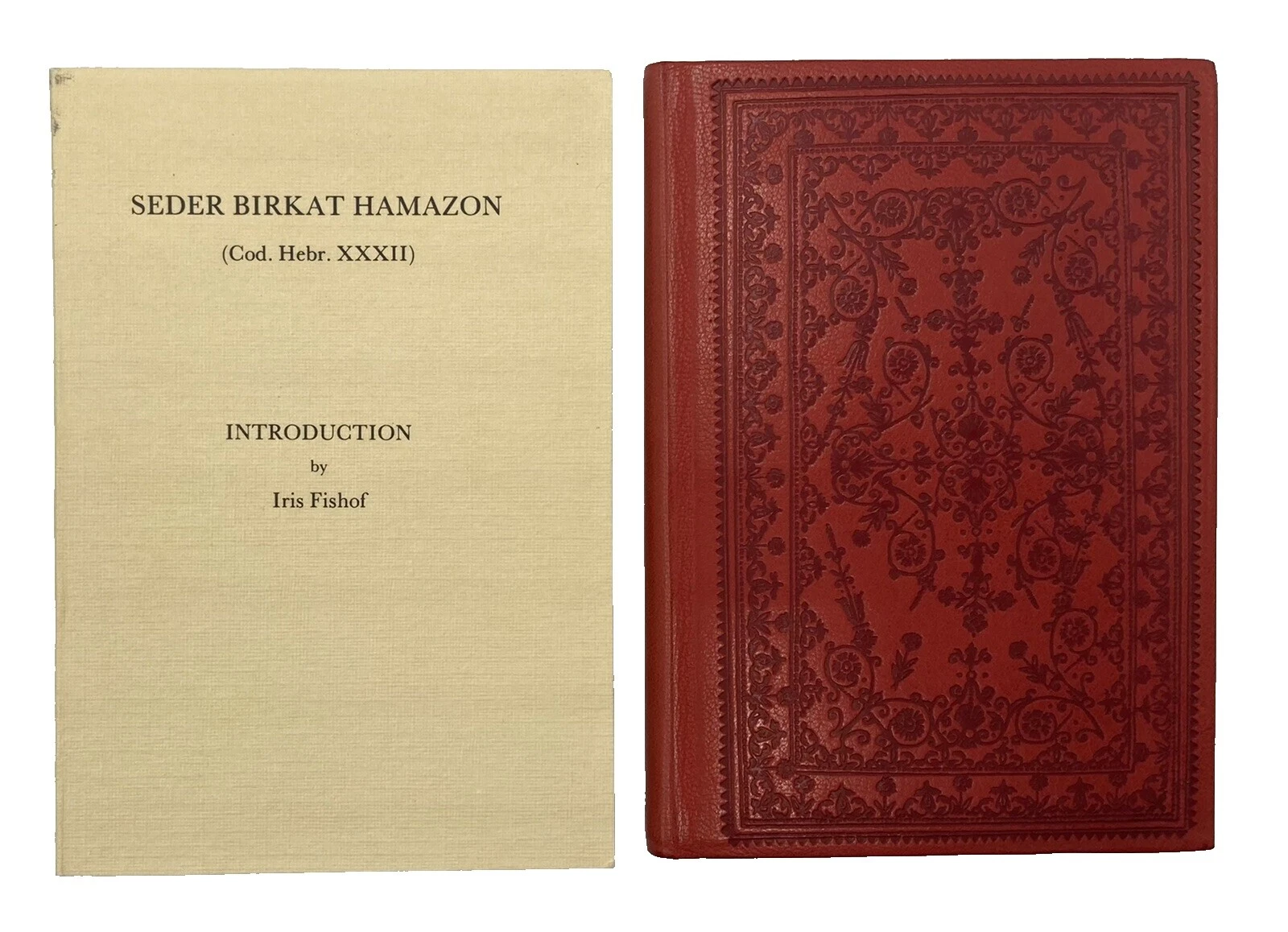 Illustrated Antiquarian & Collectible Books in Hebrew