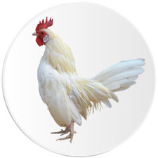 Rooster Chicken - 25 Pack Circle Stickers 3 Inch - Farm Animal