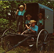 1981 Boys & Buggy in Amish Country, Lancaster County, Pennsylvania VTG Postcard