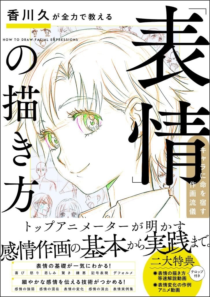 Book Hisashi Kagawa Teaches How to Draw Facial Expressions Japanese Paperback