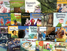 1st Grade Readers Multi-Level Reading Library...