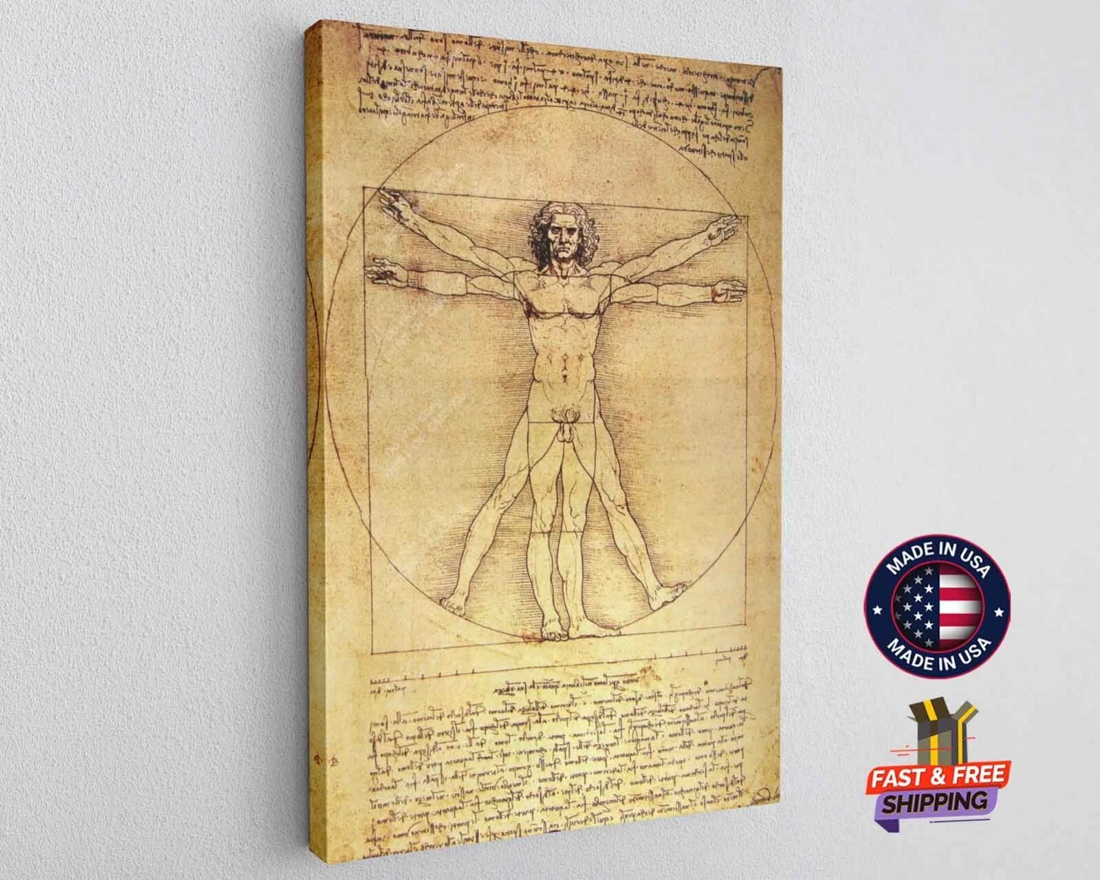 Vitruvian Man Canvas Print Reproduction Gallery Wrapped Wall Art
Opens in a new window or tab