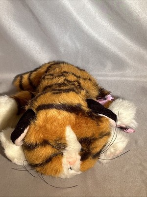 Kitty Kitty Jungle Kittens Purring Tiger Striped Orange Kitten