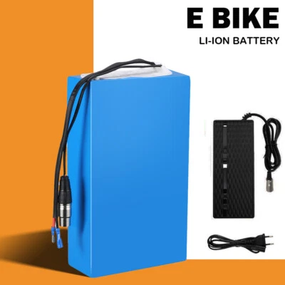 HANIWINNER E-Bike Akku 36V 48V 20Ah Li-ion Batterie mit Ladegerät 1000W Pedelec Fahrradakku