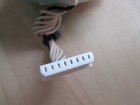 Bild 9 von 12
