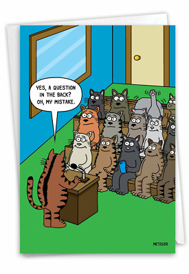 1 Funny Birthday CarWith Envelope - Cat Question C3674BDG