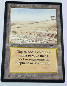 Elephant Graveyard 土地カード アラビアンナイト MTG Elephant Graveyard Mtg | eBay