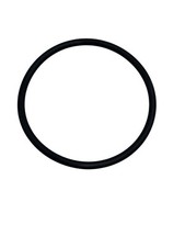 1pk Fits Sta-Rite CL90L and CL91L Chlorinator Lid O-ring 35505-1266 41301-0192
