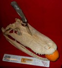 BCS SCHOPP MONTANA " GATOR HUNTER SKULL  "  SNAKE  LOGO  CUSTOM KNIFE — photo 7