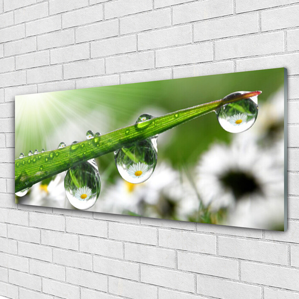 Tableau mural Image sur Plexiglas 125x50 Nature Rosée horizontal