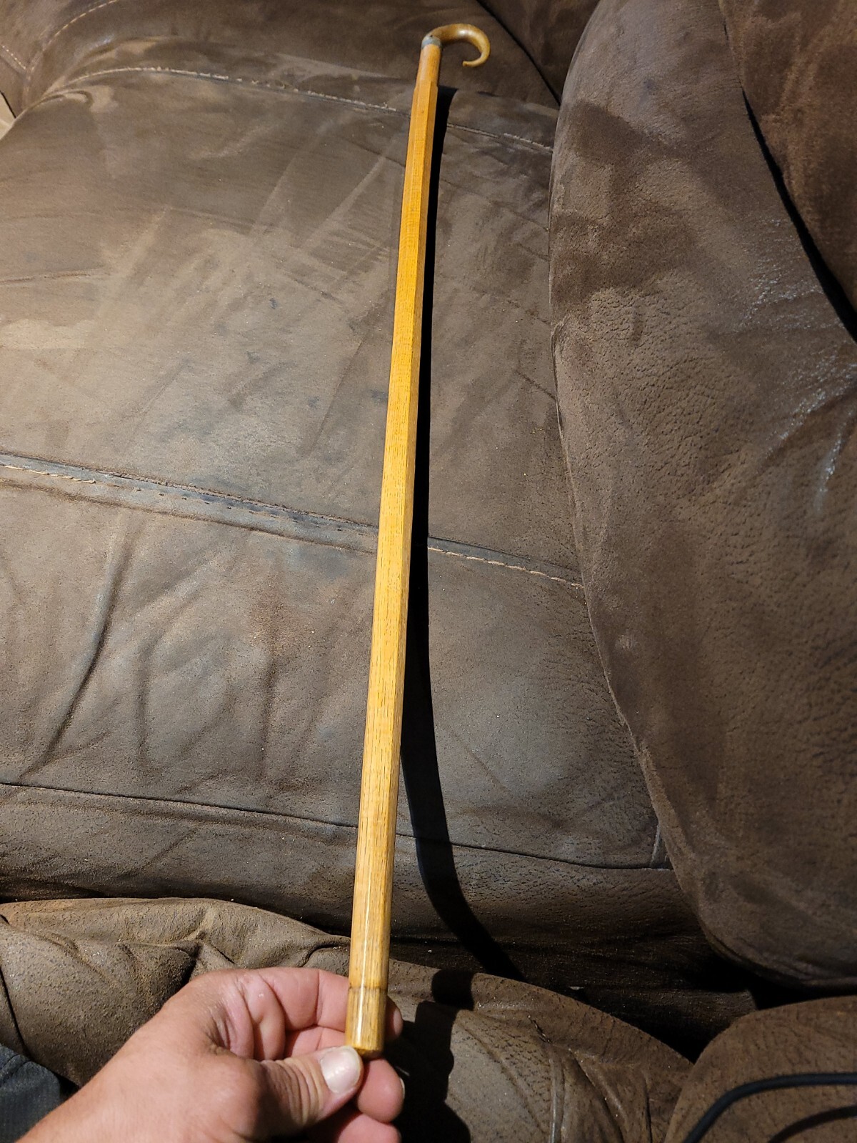 antique claw walking stick/cane 35 Inch. No Reserve Gem