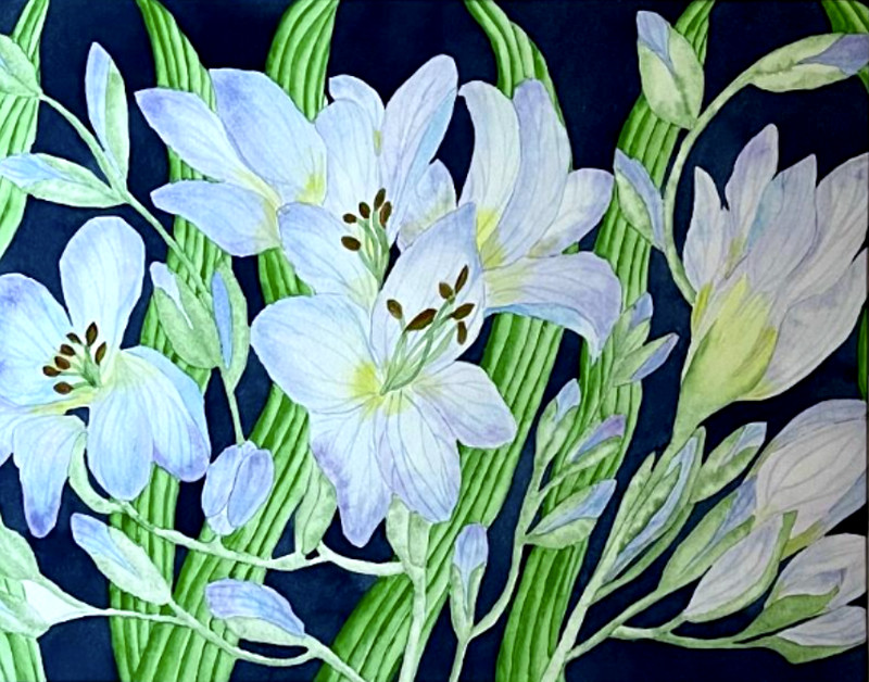 PAINTING WATERCOLOR FREESIA FLOWER BLUE PURPLE 11X14 AND DOUBLE WHITE MAT 16X20