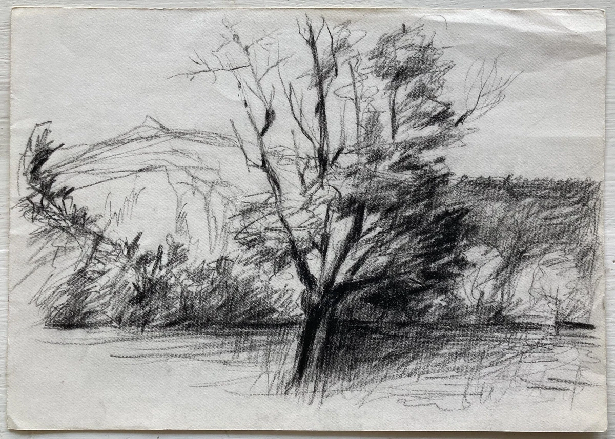 How to Draw with Charcoal Pencils - A Landscape Sketch