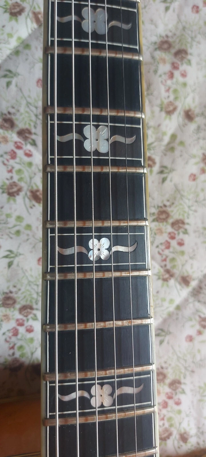 Picture 6 of 8