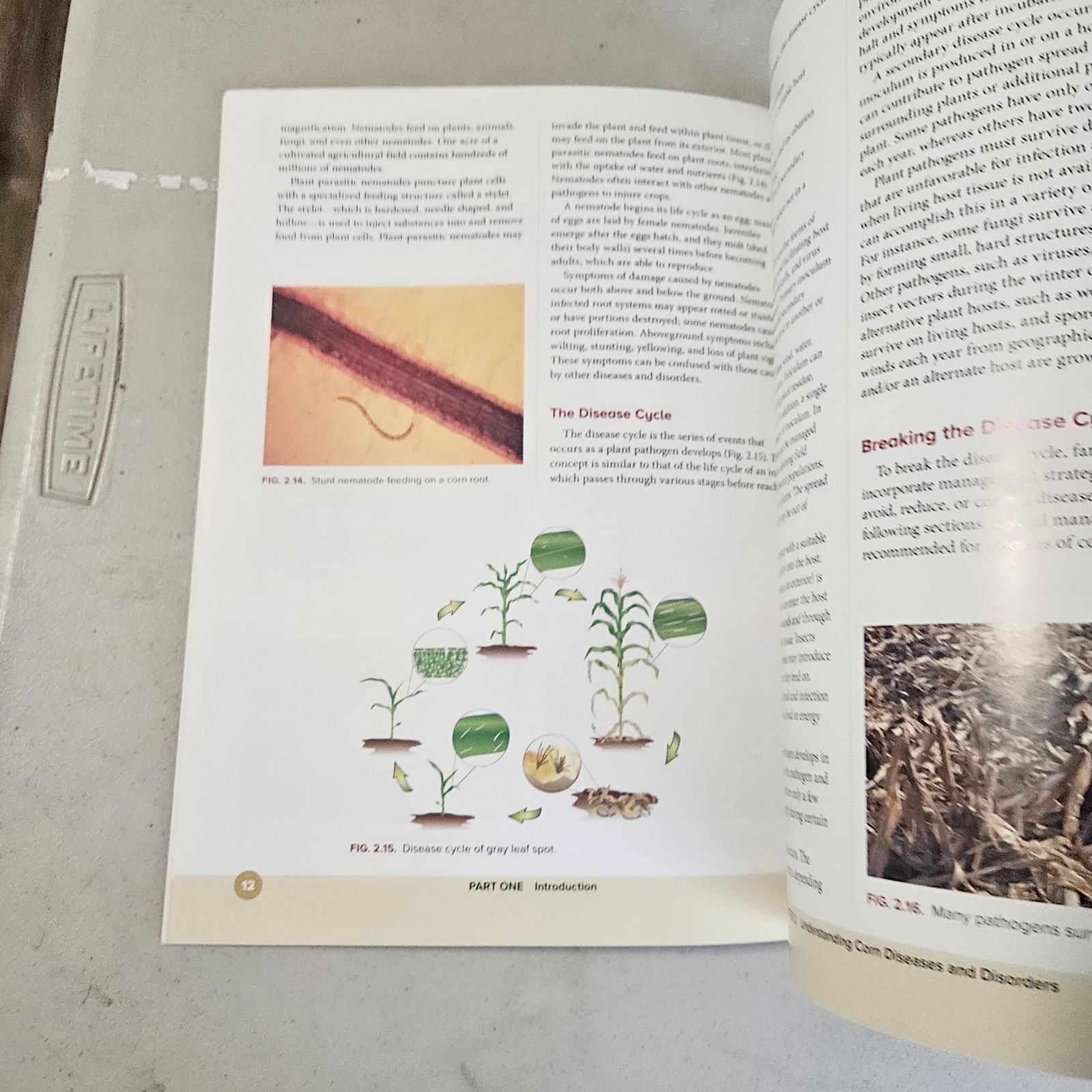 A Farmer's Guide to Corn Diseases