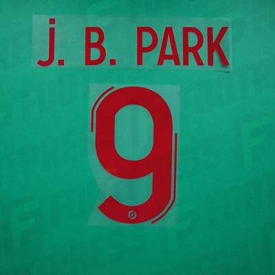 Offizielle Beflockung - Rodez AF, Jung- bin Park, 2023/2024, Away, rot