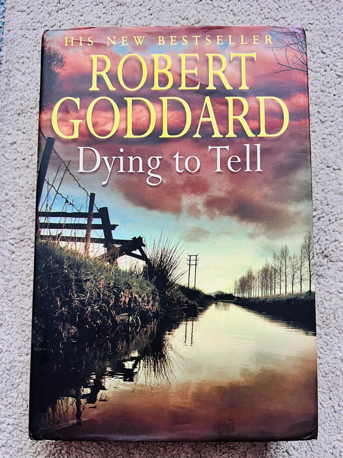 DYING TO TELL by ROBERT GODDARD - signed by the author (SB847)