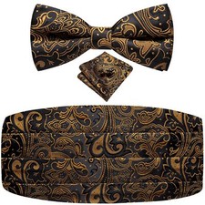 Mens Paisley Floral Cummerbund and Bowtie Silk Pretied Bow Ties for Men Handk...