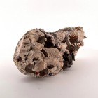 Bild 3 von 4