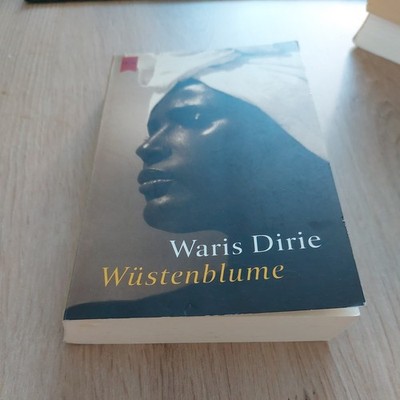 Wüstenblume von Waris Dirie, Cathleen Miller | Buch | Zustand gut