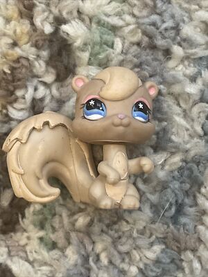 * vintage squirrel ୨୧ * 栗色の キュートなリスさん エゾリス #リス #北海道三大かわいい動物 #北海道 #旭川市