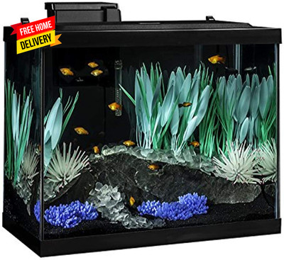 Colorfusion Aquarium 20 Gallon Fish Tank Kit, Includes LED Lighting and Decor