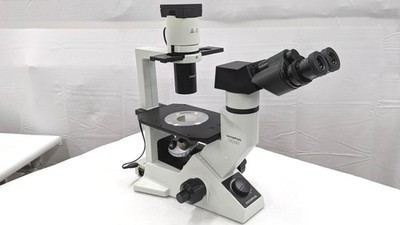 CKX41SF [Operation Tested] Inverted Microscope OLYMPUS(EVIDENT) S/N:6D03090