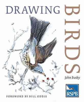 Vögel zeichnen, Taschenbuch von Busby, John, brandneu, kostenloser Versand in Großbritannien