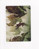 2023 MTG MAGIC COMMANDER MASTERS ART SERIES EZURI'S PREDATION