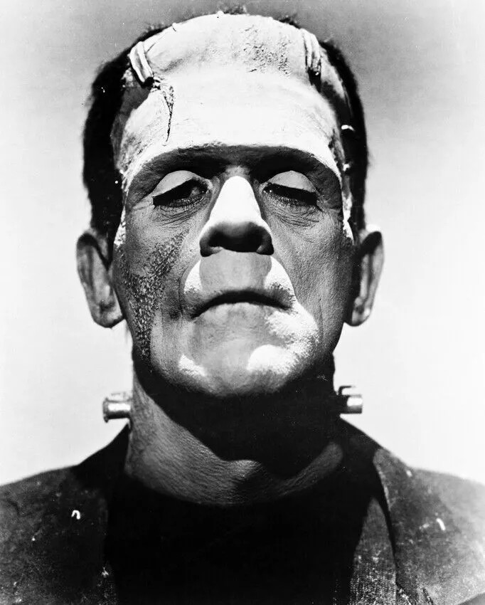 Frankenstein Black And White Portrait 4x6 Picture Celebrity Print
