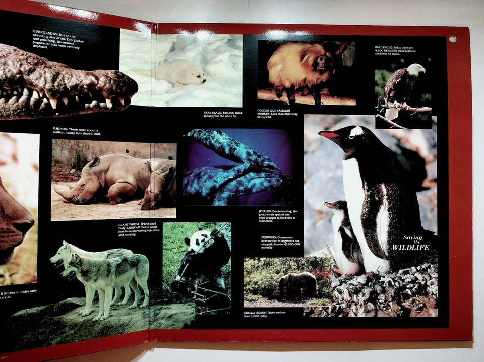 1986 Mannheim Steamroller Saving The Wildlife Vinyl LP Record Gatefold VG+ - Image 4 of 4