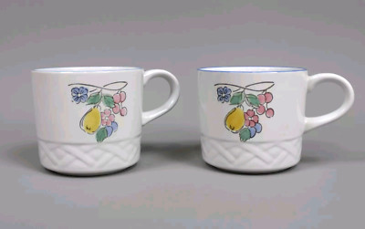 Vina Fera Coffee Mug Tea Durasafe Fruit Radiance Cup Replacement Set of 2