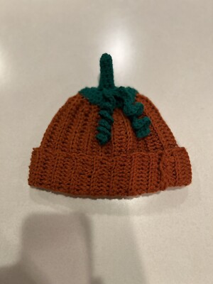 Handmade Crochet Pumpkin Hat With Stem And Vine - Child