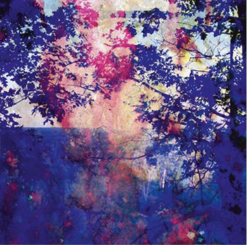 Roland Bucher Viaje (Vinyl LP) 12" Album