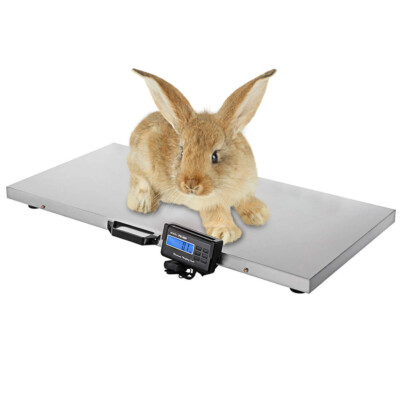 1100 Lbs Heavy Duty Digital Livestock Vet Scale Hog Pet Dog Sheep Goat Scale US